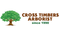 Cross Timbers Arborist logo