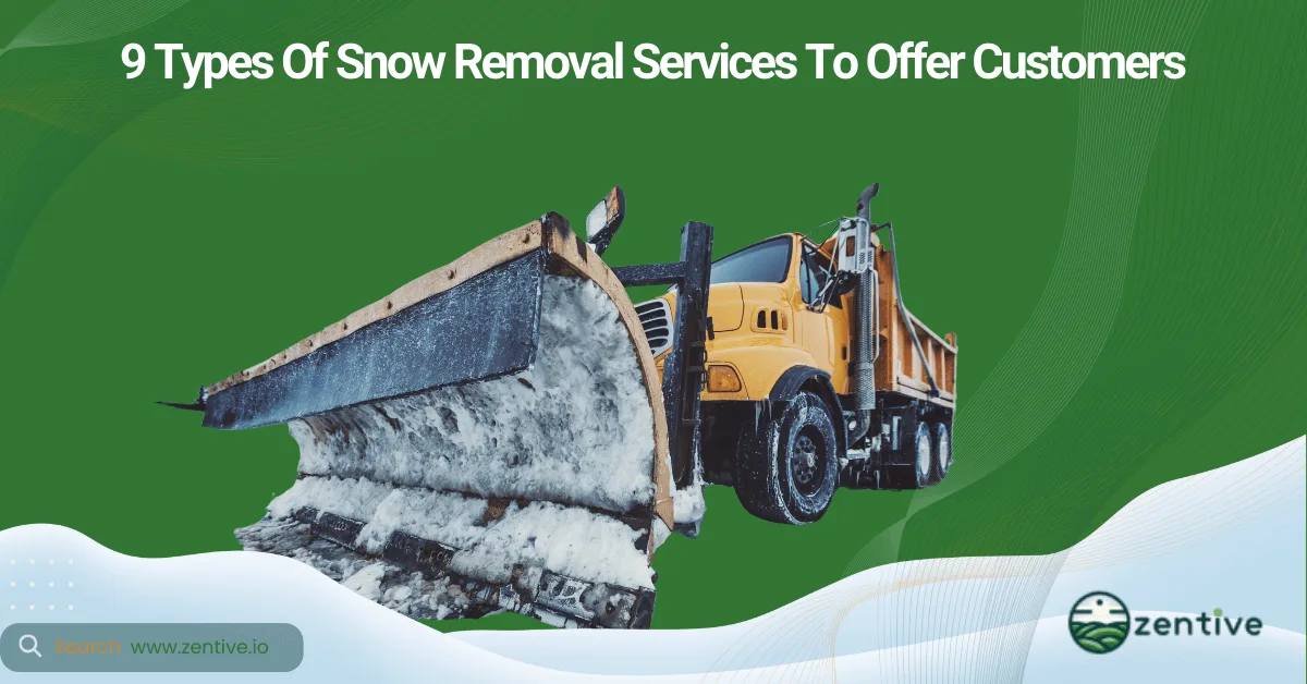 snow removal service types