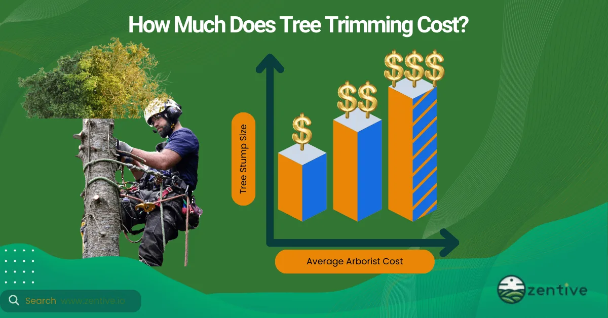 hiring arborist cost