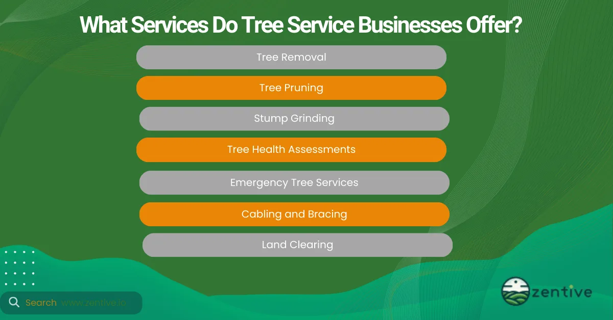 services tree care