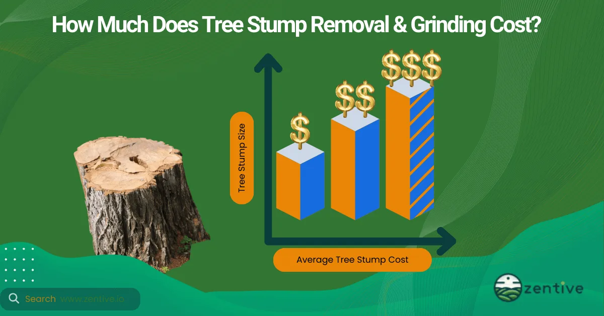 stump removal pricing