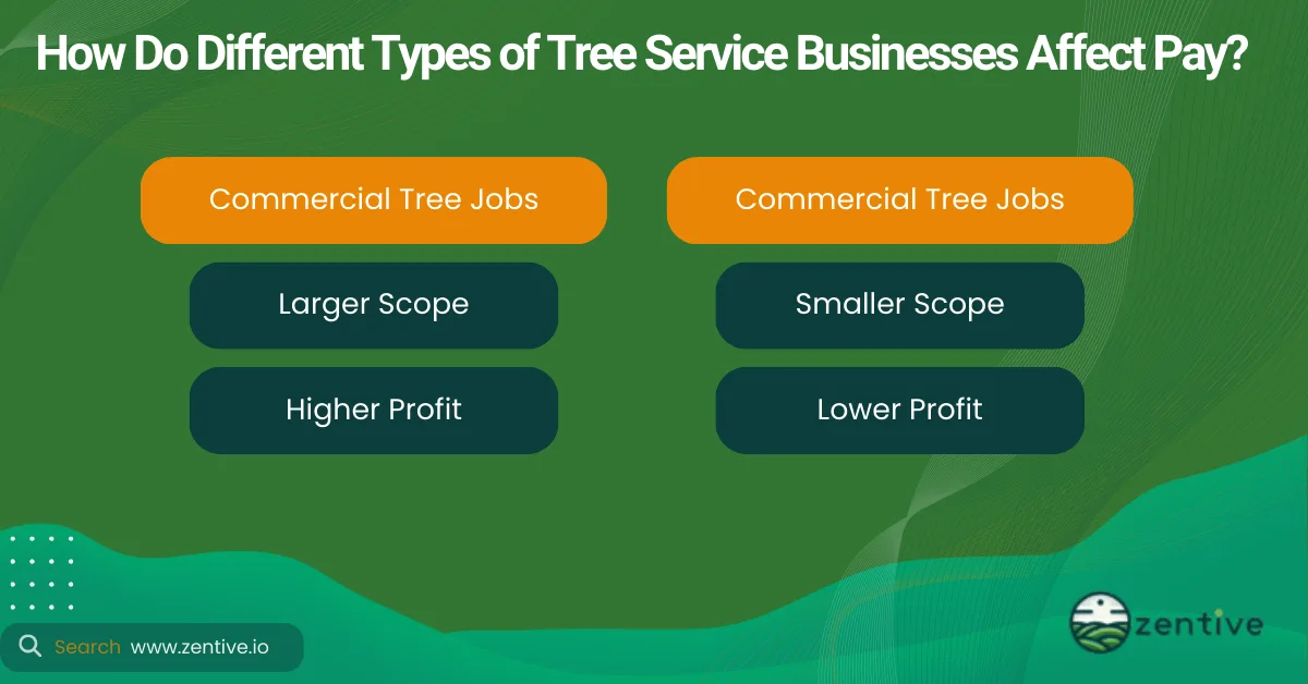 Tree Business Salaries
