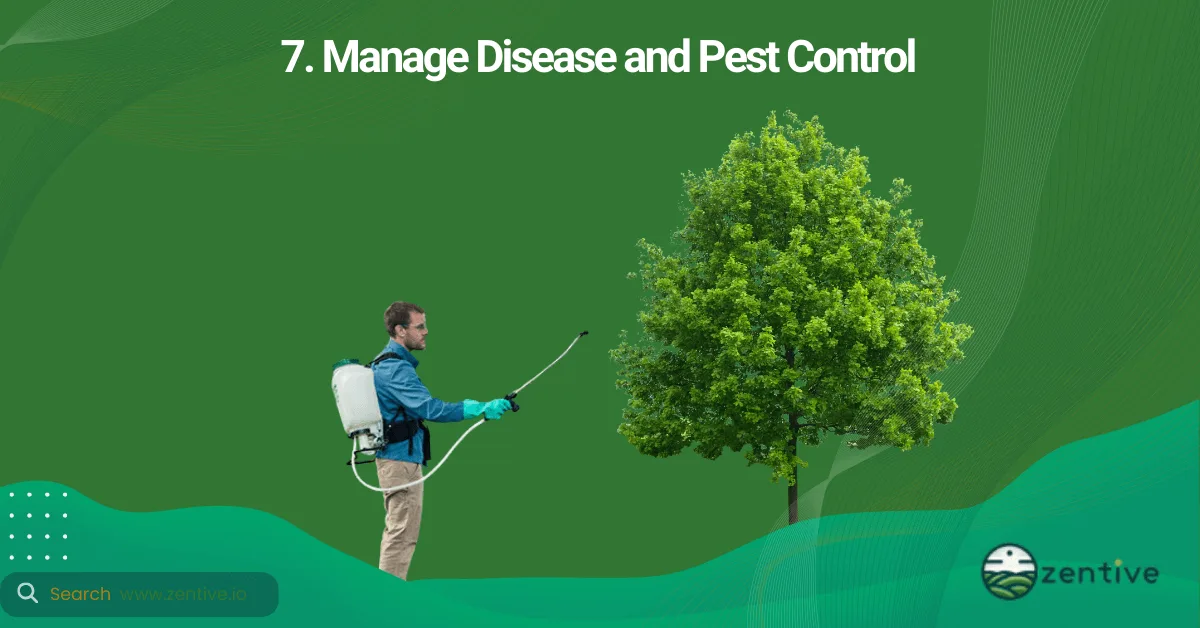 tree pest & disease control