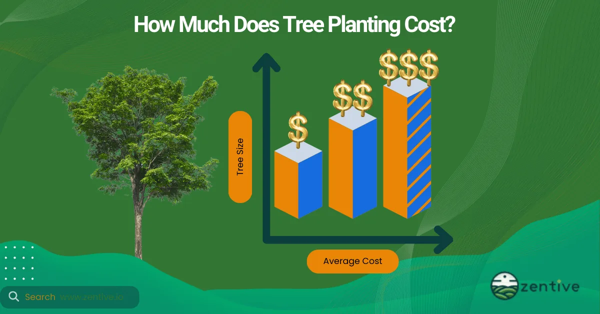 Tree Planting Pricing