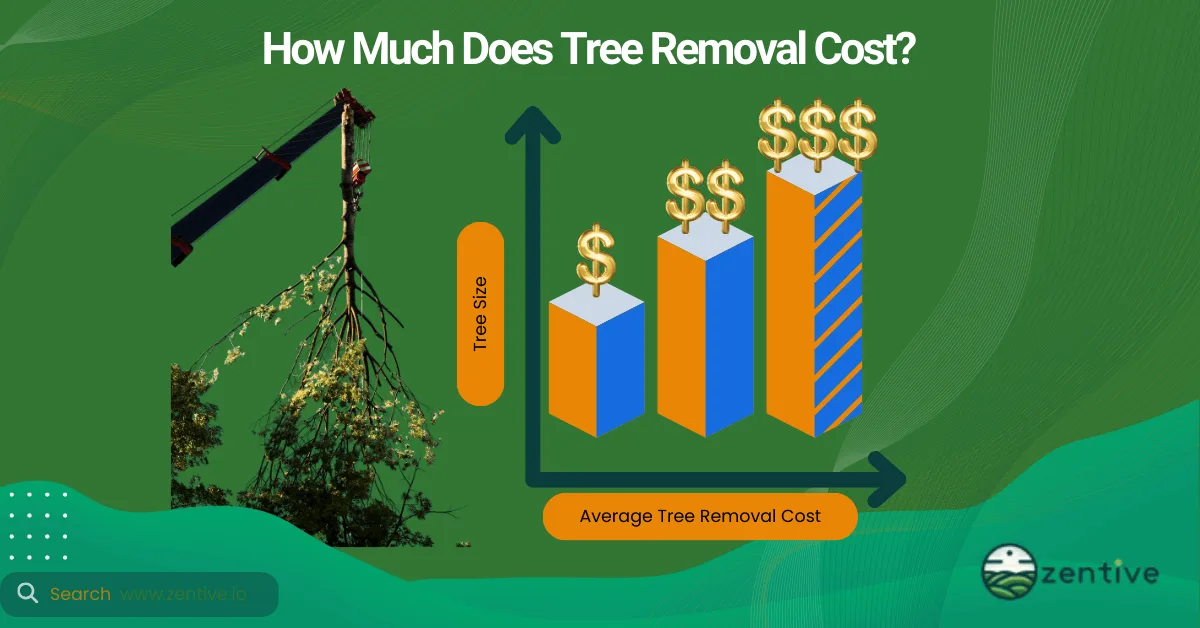 tree removal price