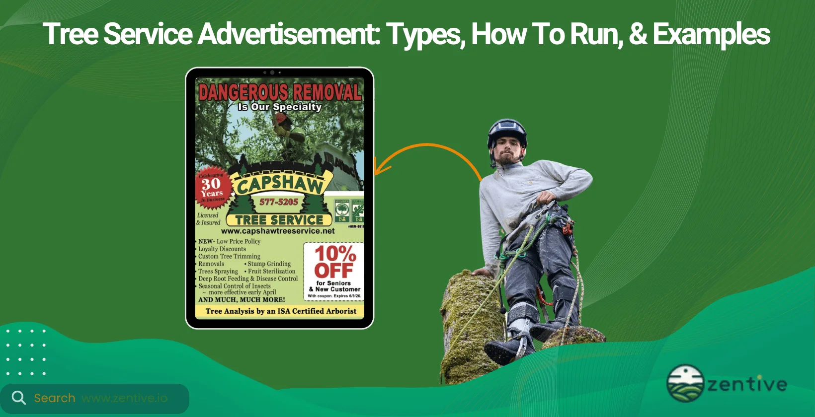 Tree Service Advertisement: Types, How To Run, & Examples