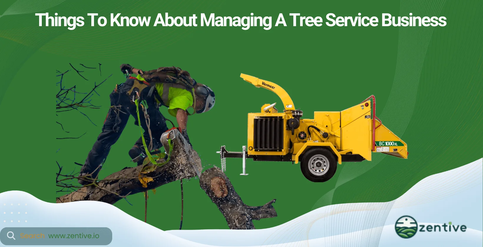 Things To Know About Managing A Tree Service Business