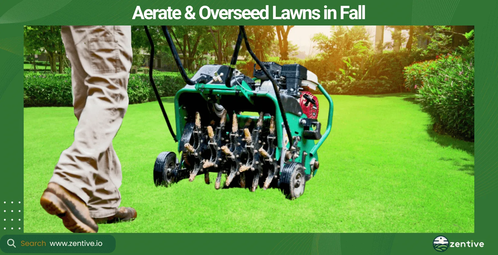 Aerate & Overseed Lawns in Fall