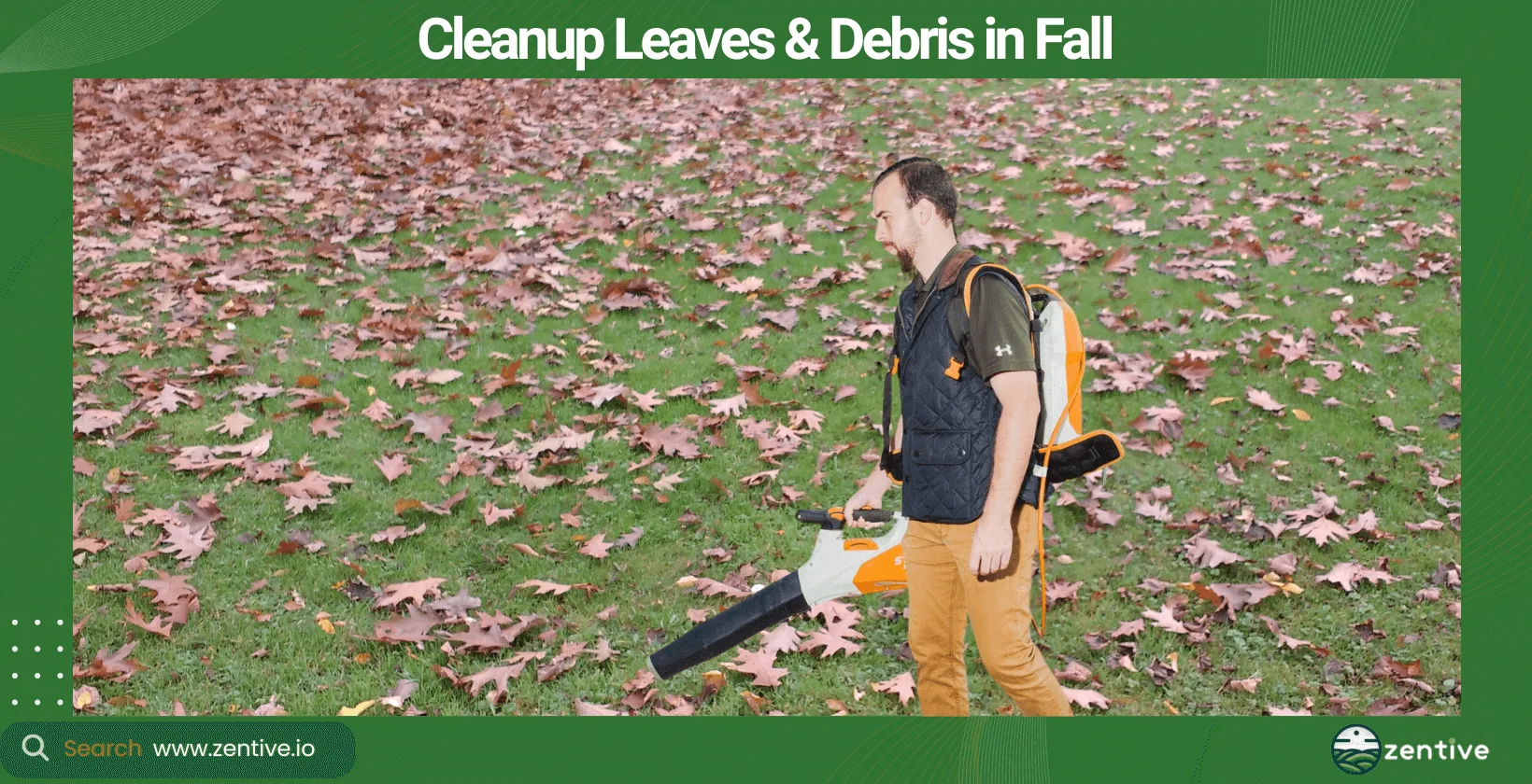 Cleanup Leaves & Debris in Fall