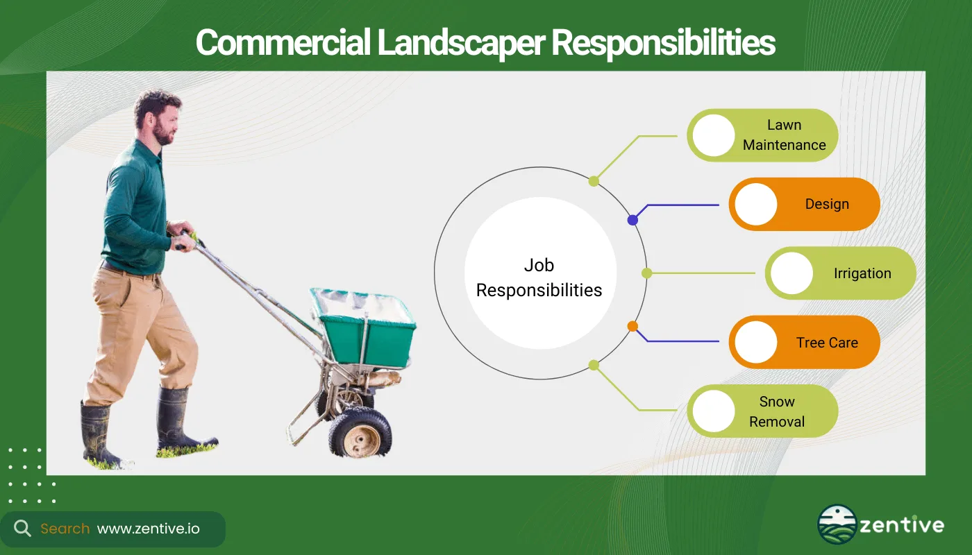 Commercial Landscaper Responsibilities