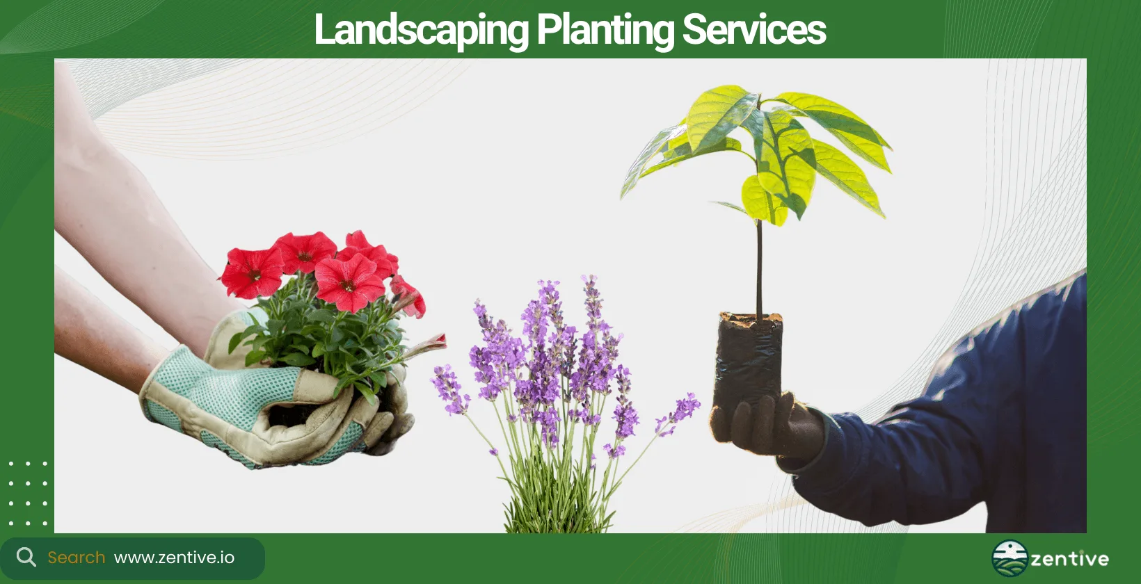 Landscaping Planting Services