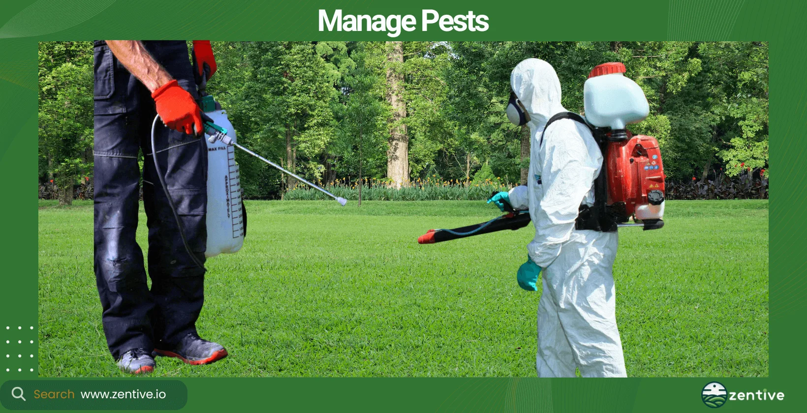 Manage Pests
