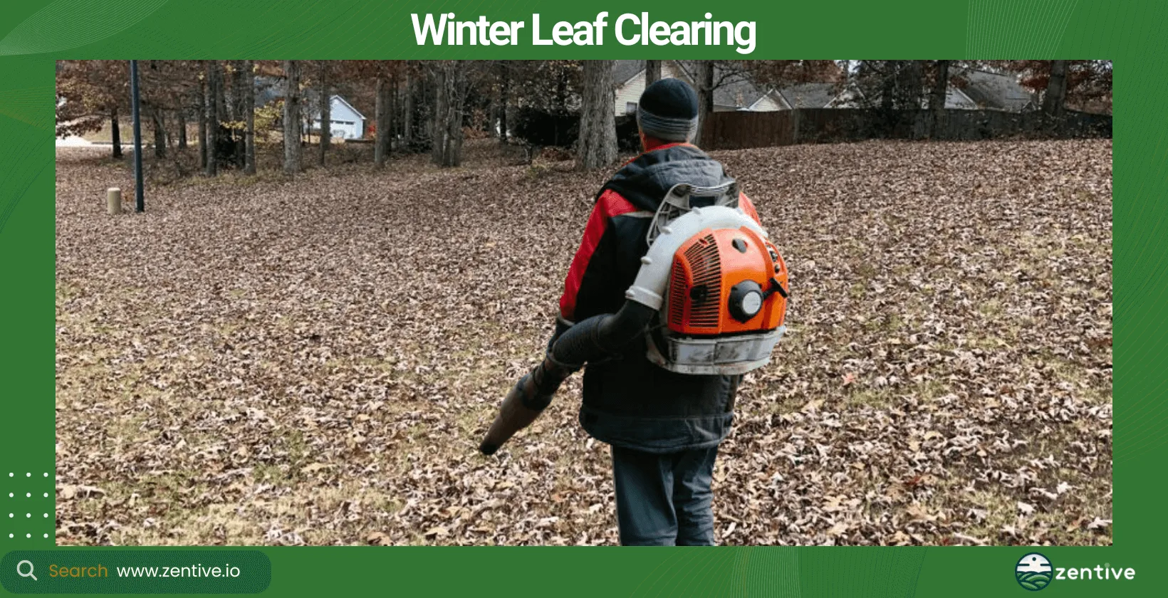 Winter Leaf Clearing