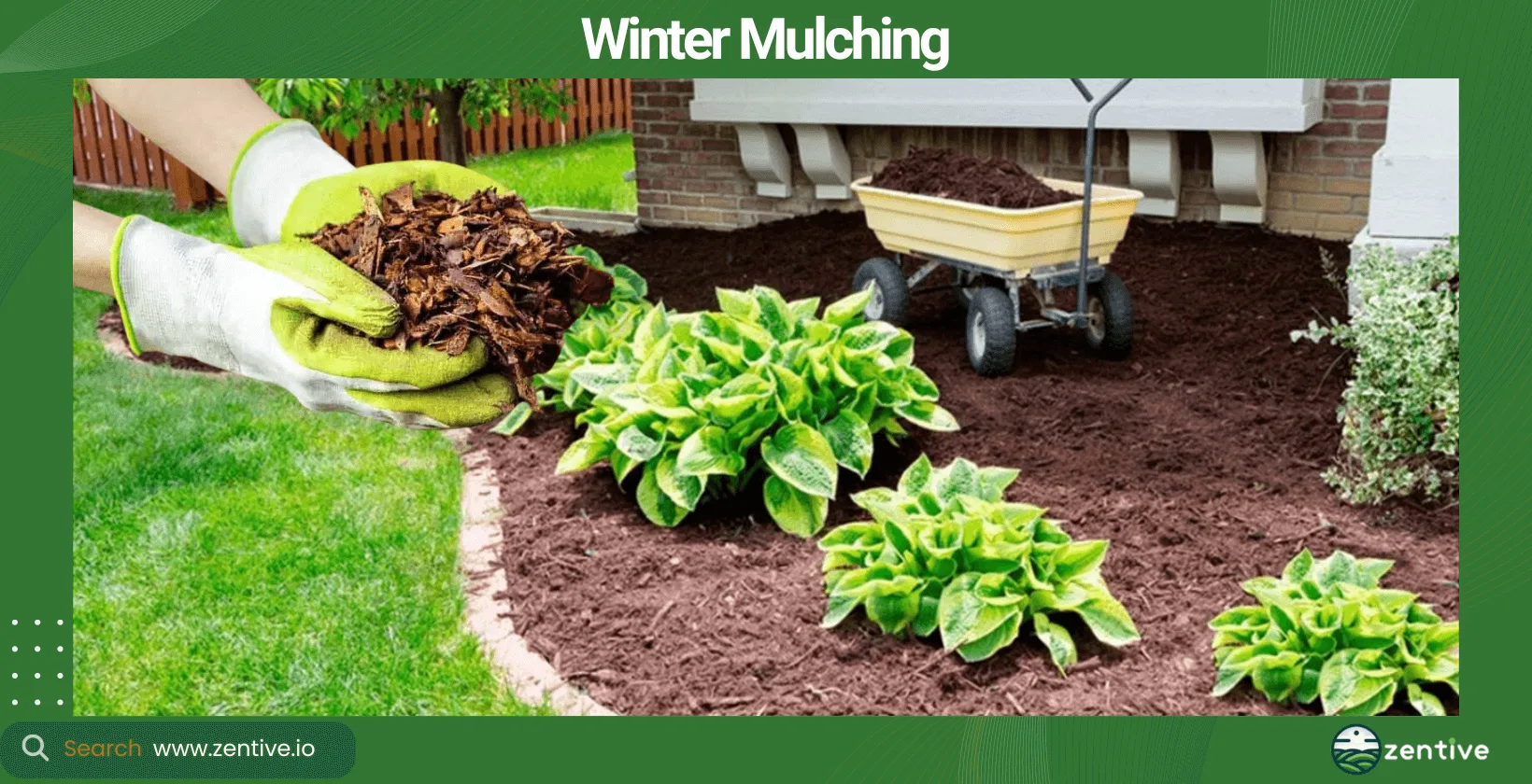 Winter Mulching